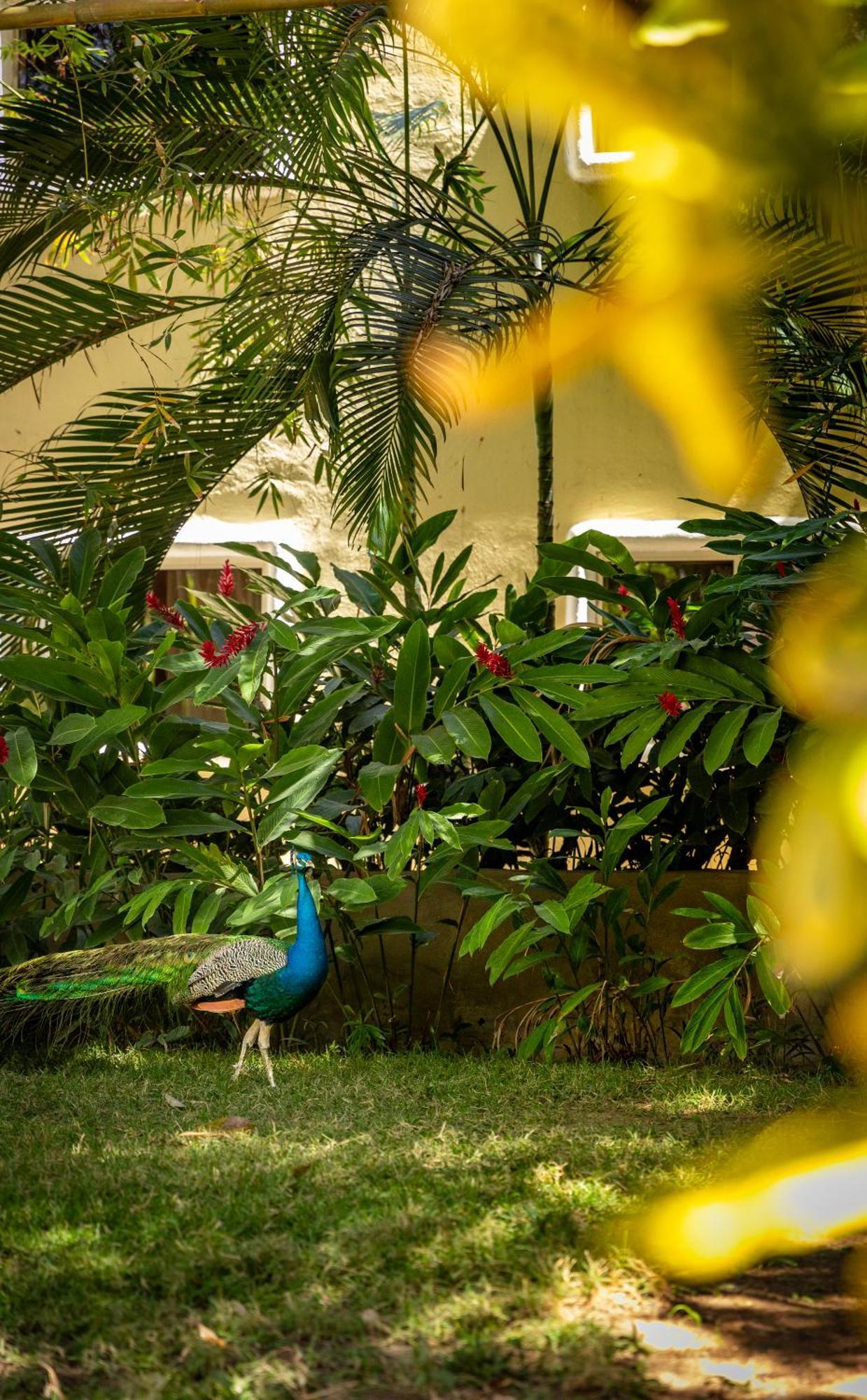 Hotel Villas Sayulita Ngoại thất bức ảnh