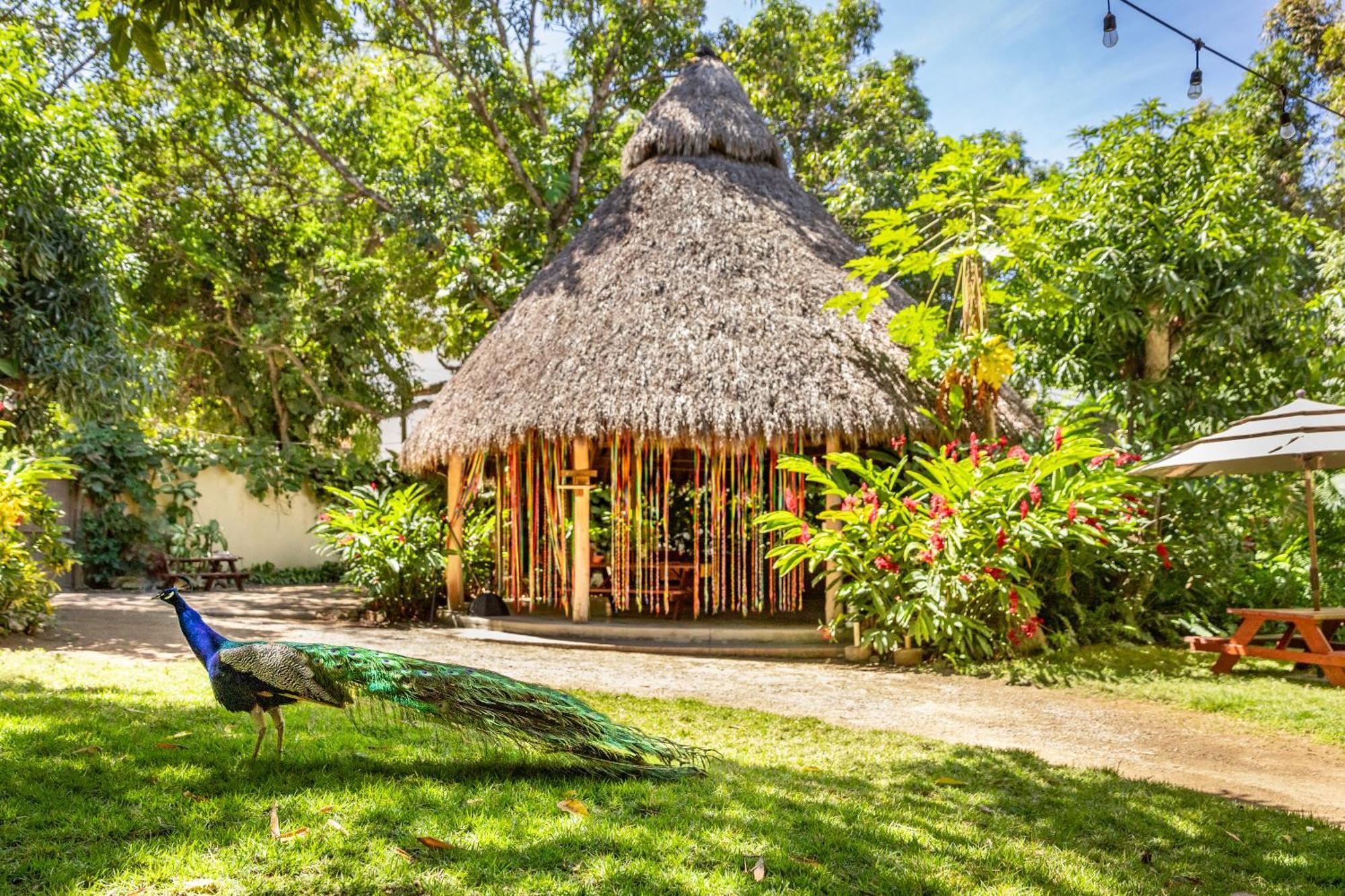 Hotel Villas Sayulita Ngoại thất bức ảnh